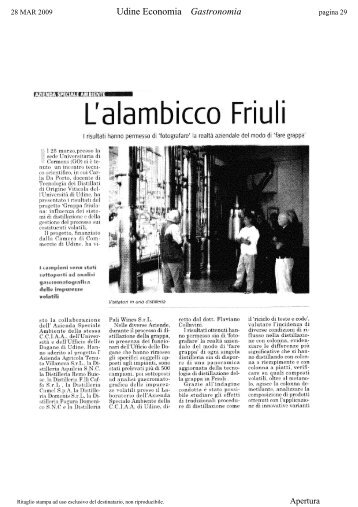 L'alambicco Friuli - Rassegna Stampa Uniud