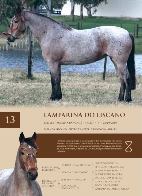 pág. 1 - fazenda liscano