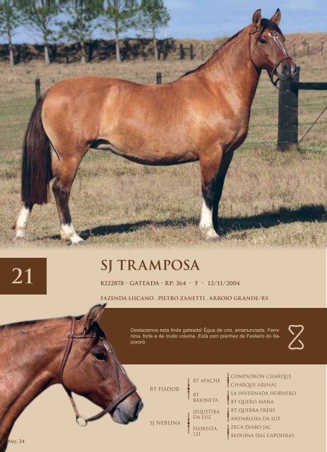 pág. 1 - fazenda liscano