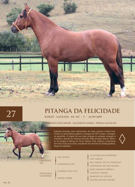 pág. 1 - fazenda liscano