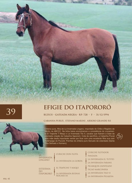 pág. 1 - fazenda liscano