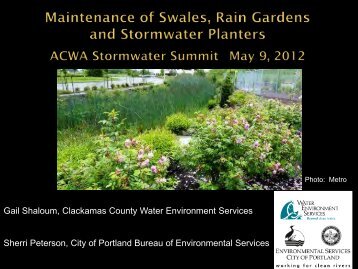Maintenance for Swales, Rain Gardens and Stormwater Planters
