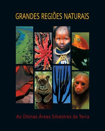 GRANDES REGIÕES NATURAIS