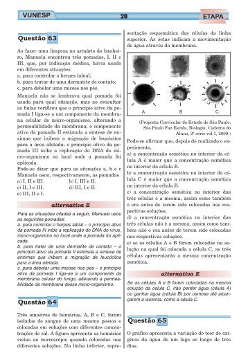 prova multidisciplinar - Oficina do Estudante