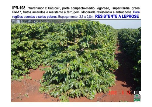 Cultivares no Manejo de Doenças do Cafeeiro - UEM 2012-08-30.pdf