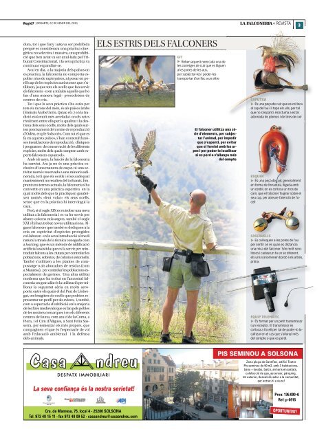 La falconeria