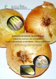 produção integrada em hortícolas - Gabinete de Planeamento e ...