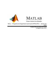 Dicas de utilização do MATLAB - Programa de Engenharia Química ...