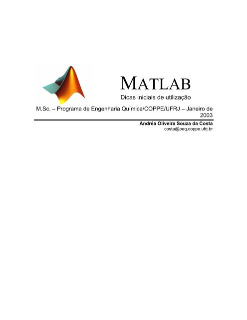 Dicas de utilização do MATLAB - Programa de Engenharia Química ...