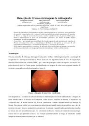 Detecção de Drusas em imagens de retinografia - deetc