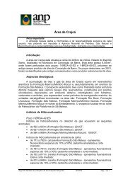 Resumo completo em PDF - ANP