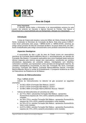 Resumo completo em PDF - ANP