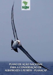 Plano de ação nacional Para a conservação de albatrozes ... - ICMBio