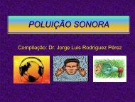 POLUIÇÃO SONORA - Pos.ajes.edu.br