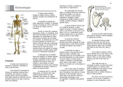 Osteologia