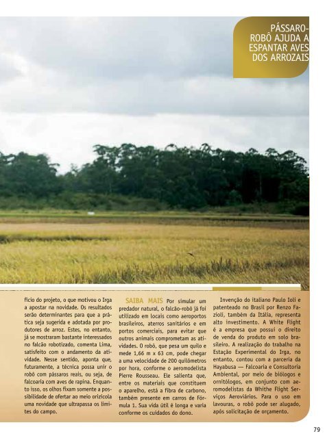 Anuário Brasileiro do Arroz 2011 - Unemat