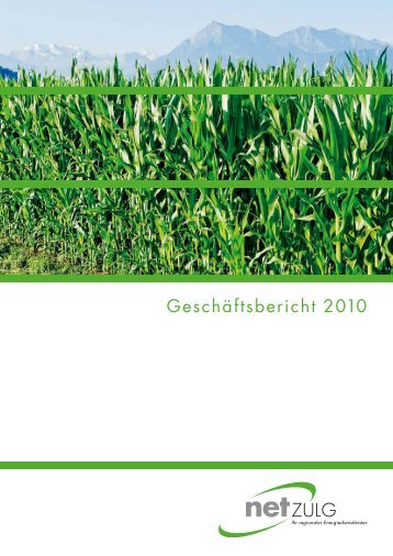 Geschäftsbericht 2010 - NetZulg AG