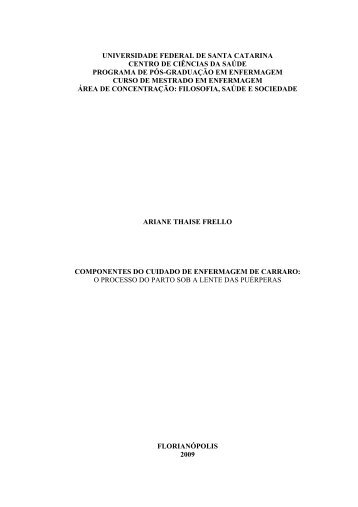 Componentes do cuidado de enfermagem de Carraro