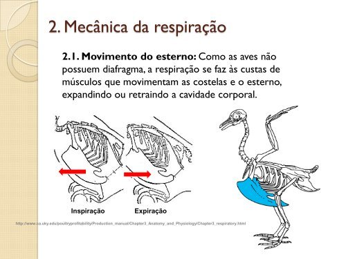 Respiração das Aves - UFF