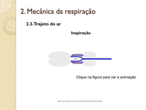 Respiração das Aves - UFF