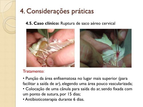 Respiração das Aves - UFF