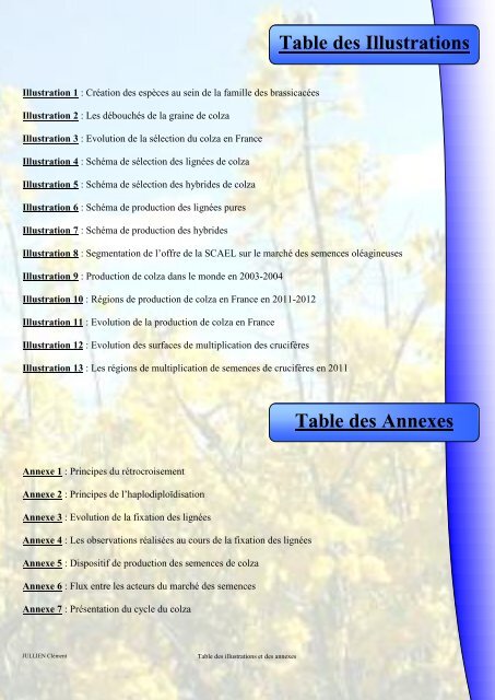 Table des Illustrations Table des Annexes