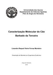 Caracterização Molecular do Cão Barbado da Terceira