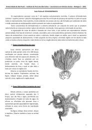 Aula Prática 1: PROTOZOÁRIOS - Laboratório de Biologia - IFSC