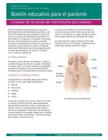 Boletín educativo para el paciente - National Institutes of Health