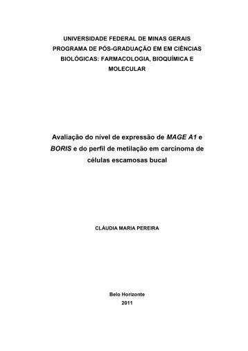 tese_doutorado_ ... maria_pereira___300311.pdf - Biblioteca Digital ...