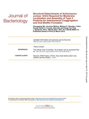 Structural Determinants of Actinomyces sortase SrtC2 Required for ...