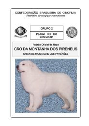 CÃO DA MONTANHA DOS PIRENEUS