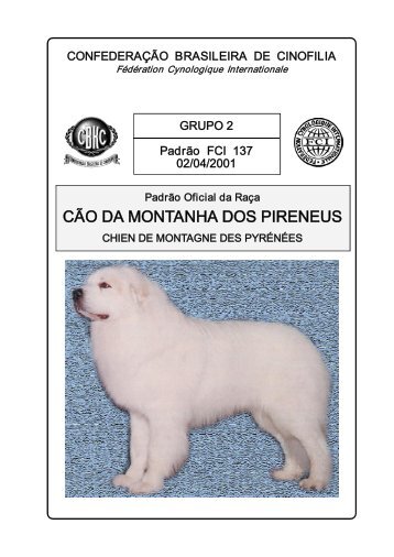 CÃO DA MONTANHA DOS PIRENEUS