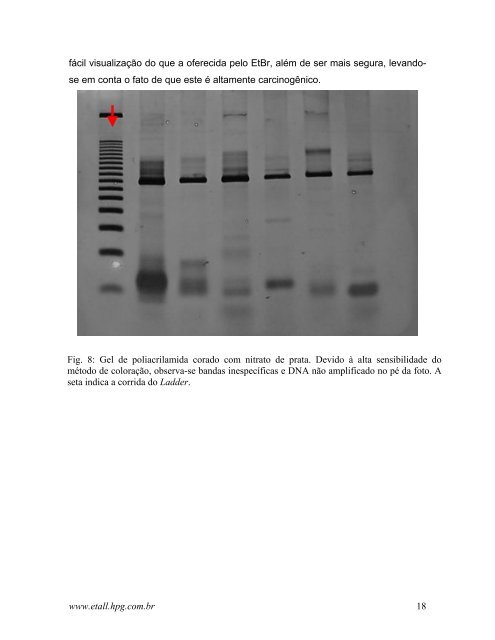 Técnicas de PCR: Aplicações e Padronização de Reações - FEA