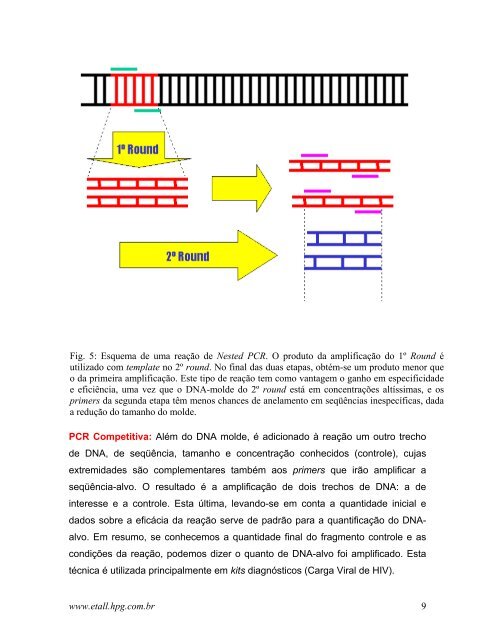 Técnicas de PCR: Aplicações e Padronização de Reações - FEA