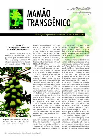 MAMÃO TRANSGÊNICO - Biotecnologia