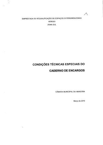 CONDIÇÕES TÉCNICAS ESPECIAIS Do - Câmara Municipal da ...