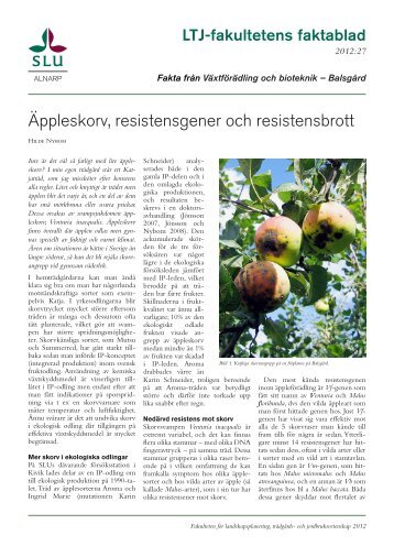 Äppleskorv, resistensgener och resistensbrott - SLU