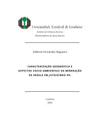 Caracterização geográfica e aspectos sócioambientais da ...