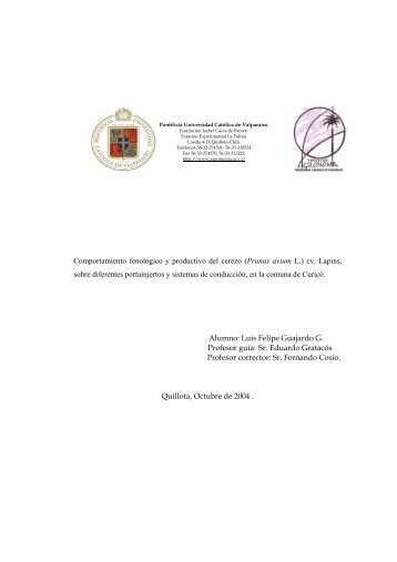 Comportamiento fenológico y productivo del cerezo (Prunus avium ...