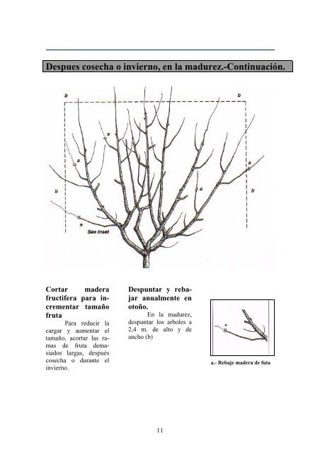 07- Sistemas de poda del cerezo - FRUTALES