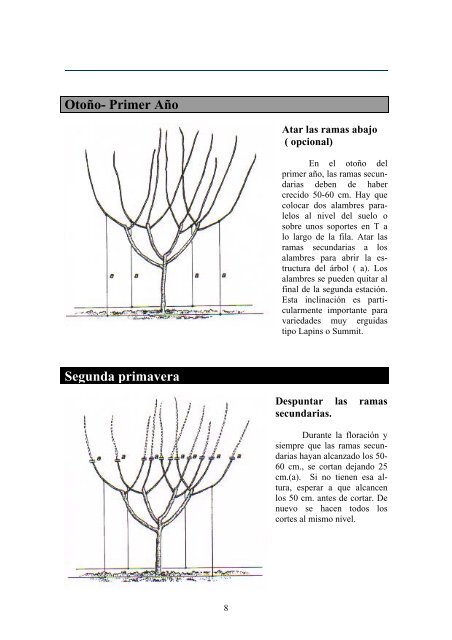 07- Sistemas de poda del cerezo - FRUTALES