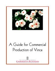 A Guide for Commercial Production of Vinca - Athenaeum@UGA ...