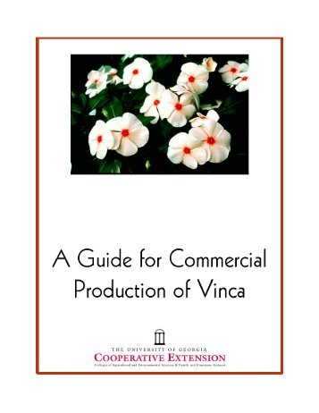 A Guide for Commercial Production of Vinca - Athenaeum@UGA ...