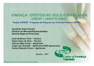 VINHAÇA: EFEITOS NO SOLO E NA PLANTA - Apta