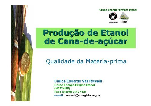 Produção de Etanol de Cana-de-açúcar Carlos Eduardo Vaz ...