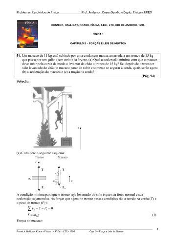 Problemas Resolvidos de Física - Prof. Anderson