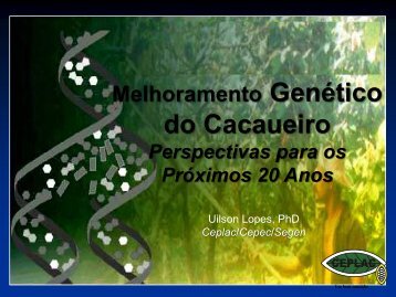 Melhoramento Genético do Cacaueiro - Perspectivas para ... - Ceplac