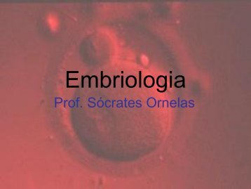 Aula de Embriologia - Prof. Sócrates - mesonpi.org