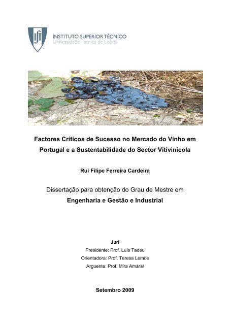 Factores Críticos de Sucesso no Mercado do Vinho em Portugal e a ...
